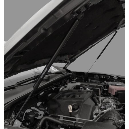 Ford Ranger Motorhaubenunterstützung – ab 2023